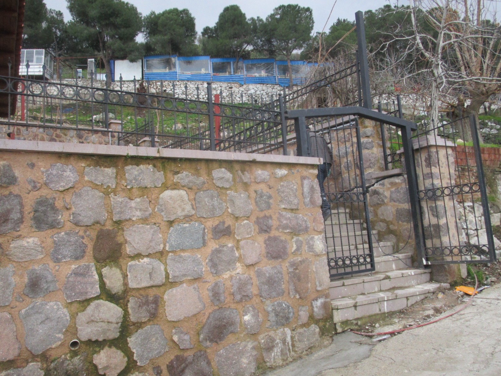 Gallery Image 8